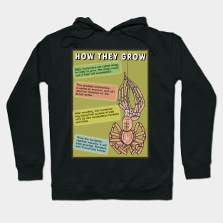 Huntsman spider information poster Hoodie